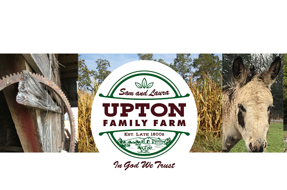 Upton Family Farm